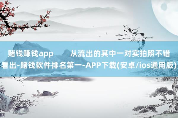 赌钱赚钱app        从流出的其中一对实拍照不错看出-赌钱软件排名第一-APP下载(安卓/ios通用版)