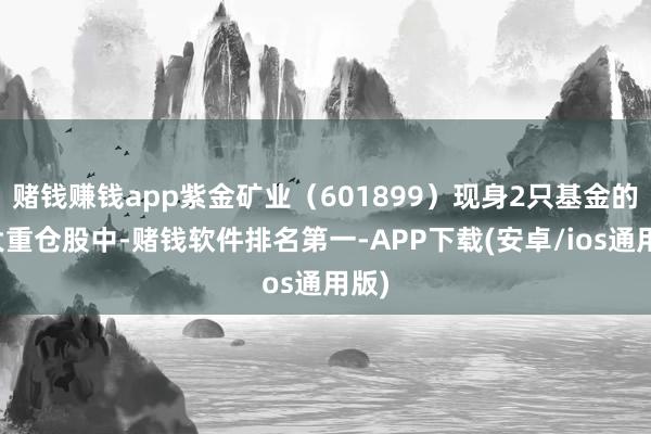 赌钱赚钱app紫金矿业（601899）现身2只基金的十大重仓
