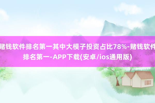 赌钱软件排名第一其中大模子投资占比78%-赌钱软件排名第一-