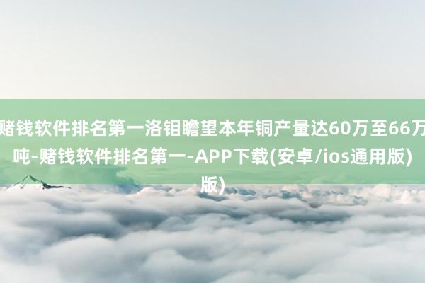 赌钱软件排名第一洛钼瞻望本年铜产量达60万至66万吨-赌钱软件排名第一-APP下载(安卓/ios通用版)