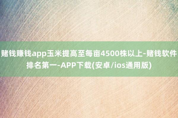 赌钱赚钱app玉米提高至每亩4500株以上-赌钱软件排名第一